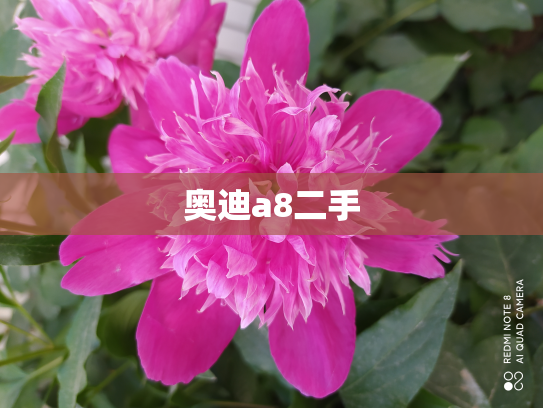 奥迪a8二手