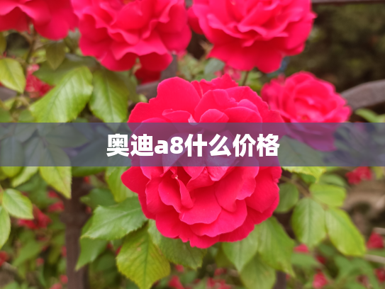 奥迪a8什么价格
