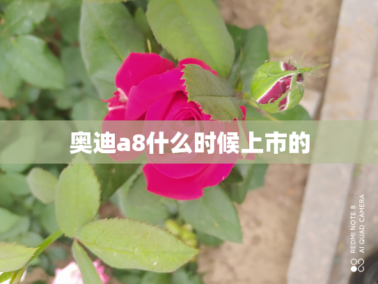 奥迪a8什么时候上市的