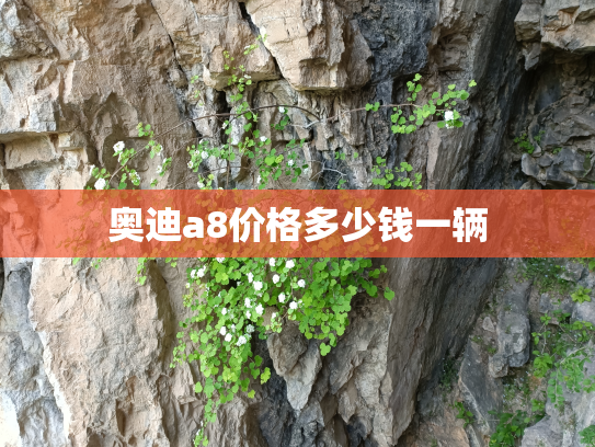 奥迪a8价格多少钱一辆