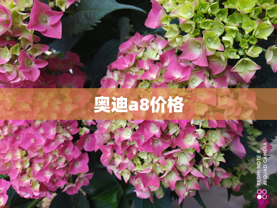 奥迪a8价格