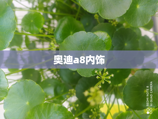奥迪a8内饰