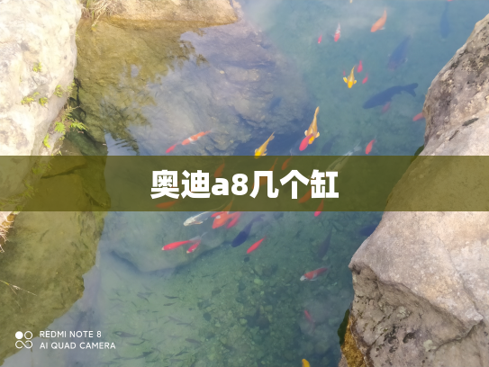 奥迪a8几个缸
