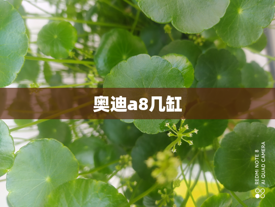 奥迪a8几缸