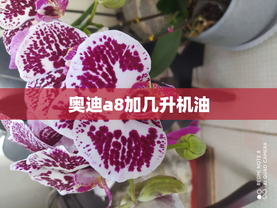 奥迪a8加几升机油