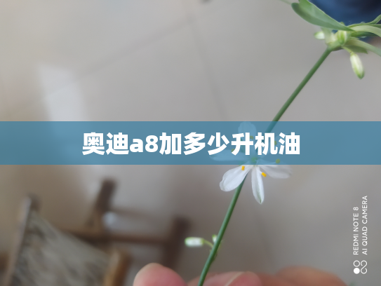 奥迪a8加多少升机油