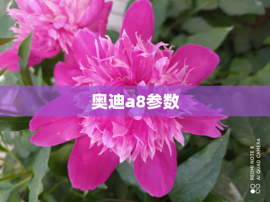 奥迪a8参数