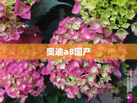 奥迪a8国产