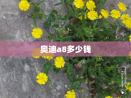 奥迪a8多少钱