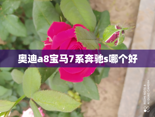 奥迪a8宝马7系奔驰s哪个好