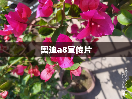 奥迪a8宣传片