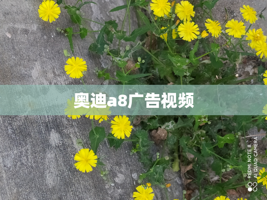 奥迪a8广告视频