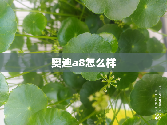 奥迪a8怎么样