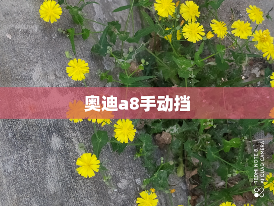 奥迪a8手动挡