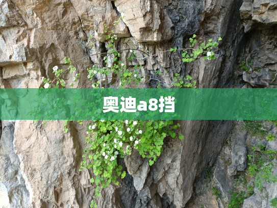 奥迪a8挡
