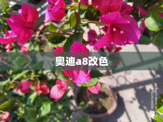 奥迪a8改色