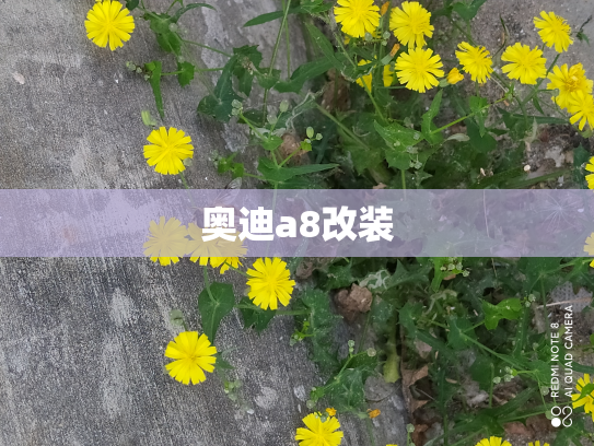 奥迪a8改装