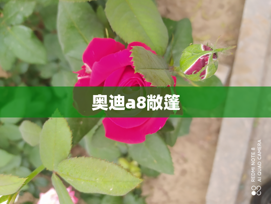 奥迪a8敞篷