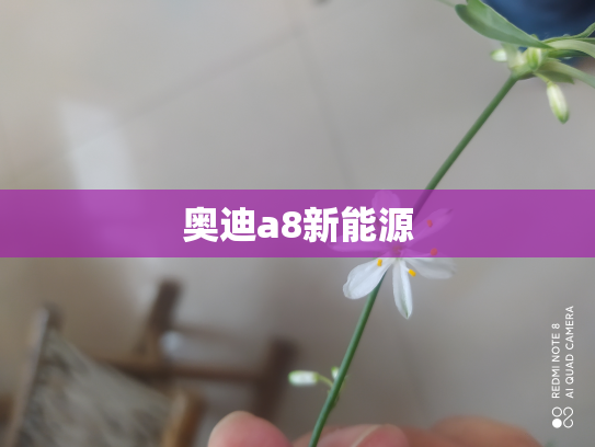 奥迪a8新能源
