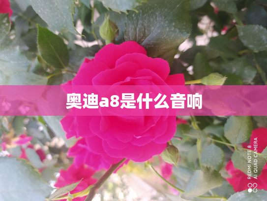 奥迪a8是什么音响
