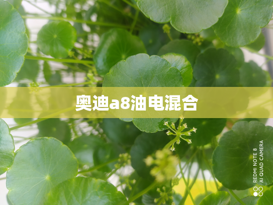 奥迪a8油电混合