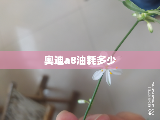 奥迪a8油耗多少