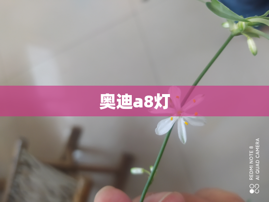 奥迪a8灯