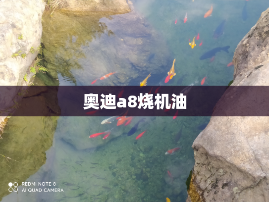 奥迪a8烧机油