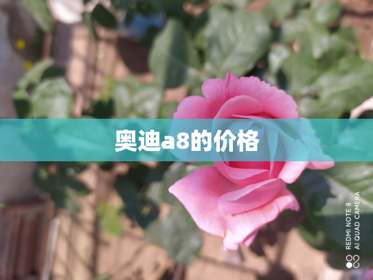 奥迪a8的价格