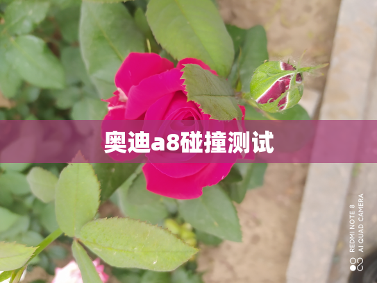 奥迪a8碰撞测试