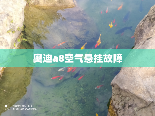 奥迪a8空气悬挂故障