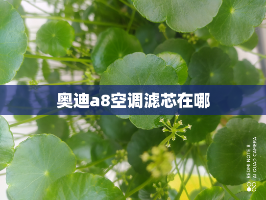 奥迪a8空调滤芯在哪