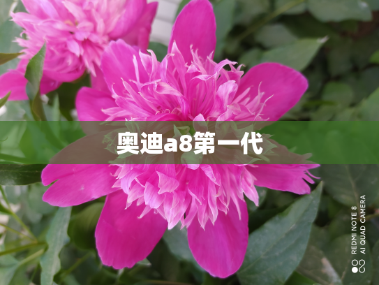 奥迪a8第一代