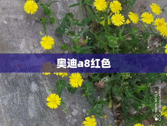 奥迪a8红色