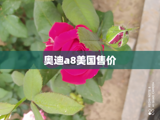 奥迪a8美国售价