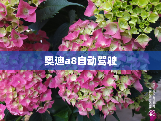 奥迪a8自动驾驶
