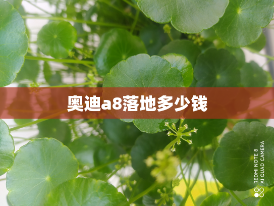 奥迪a8落地多少钱