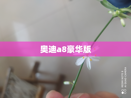 奥迪a8豪华版