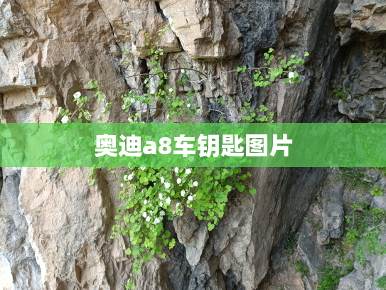 奥迪a8车钥匙图片