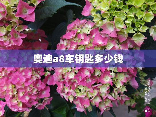 奥迪a8车钥匙多少钱