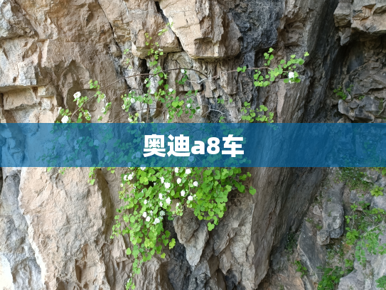 奥迪a8车