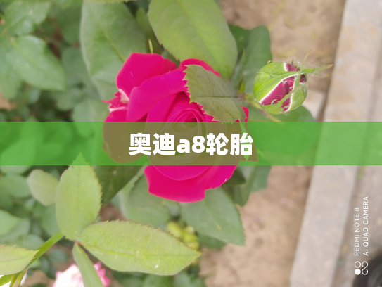奥迪a8轮胎