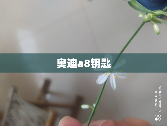奥迪a8钥匙
