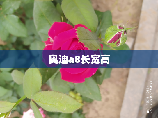 奥迪a8长宽高