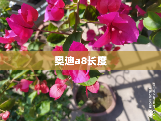 奥迪a8长度