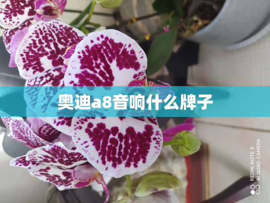 奥迪a8音响什么牌子