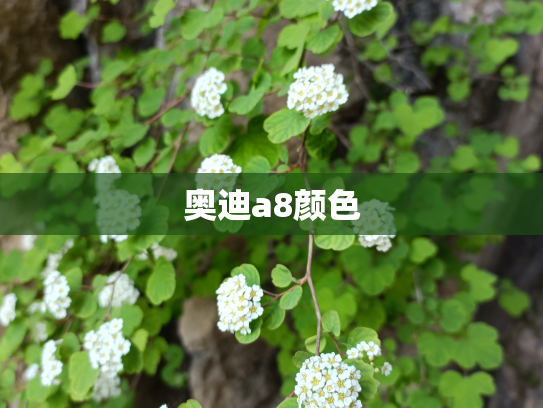 奥迪a8颜色