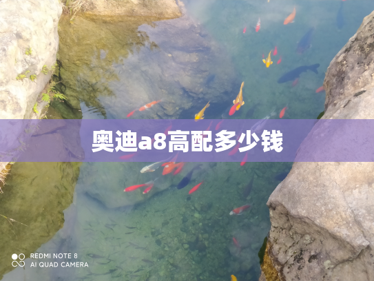 奥迪a8高配多少钱
