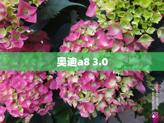 奥迪a8 3.0