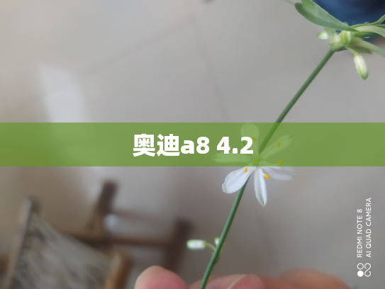 奥迪a8 4.2